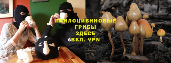 амф Баксан