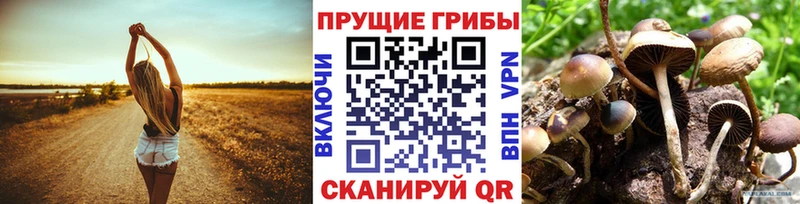 Псилоцибиновые грибы прущие грибы  Краснокамск 